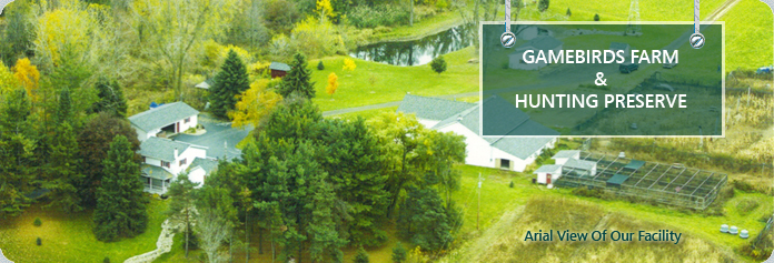 Arial View of our Farm