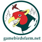 OUR LOGO